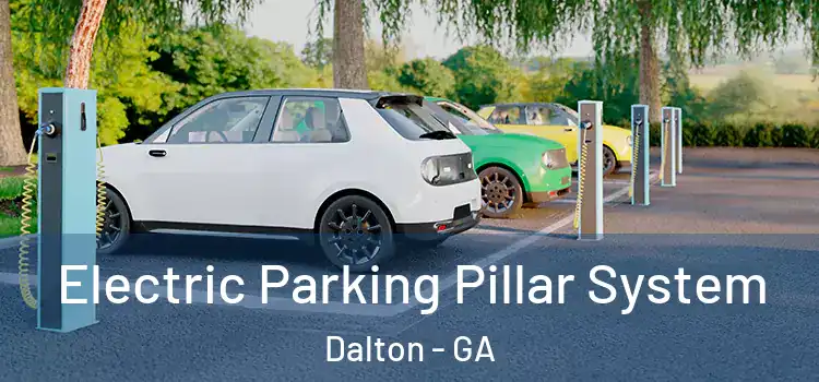  Electric Parking Pillar System Dalton - GA