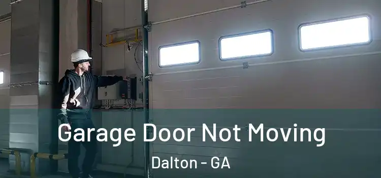  Garage Door Not Moving Dalton - GA