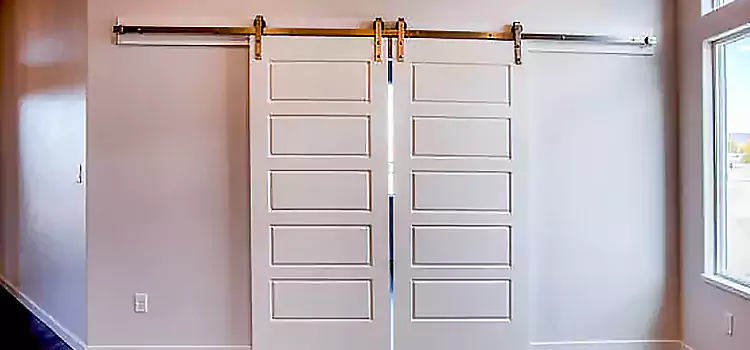 Glass Barn Door with Installation Hardware Kit Dalton