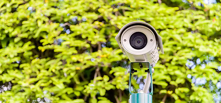 Advanced Surveillance Solutions for Every Need in Dalton