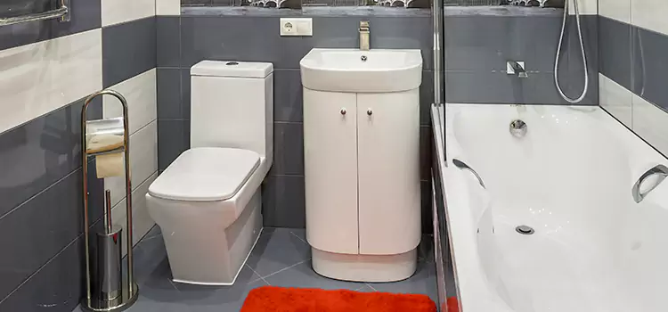 Hansgrohe Shaving Mirror Dalton